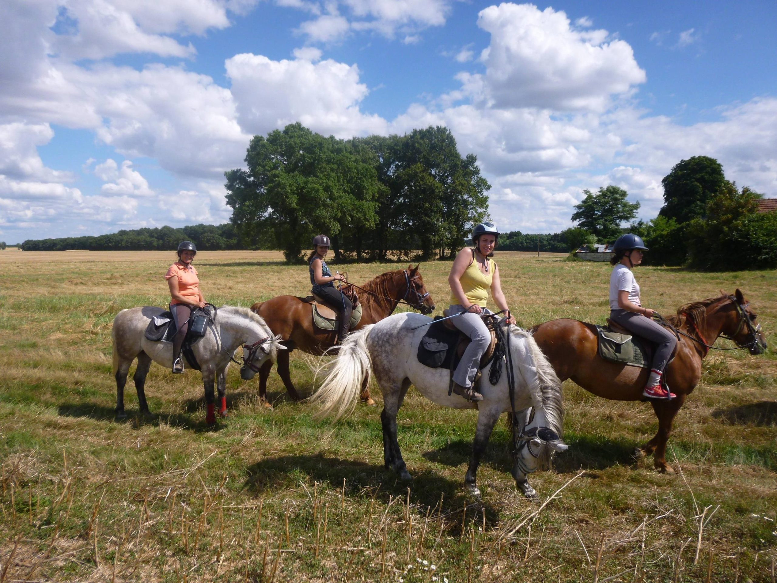 Horseback riding along the Loire