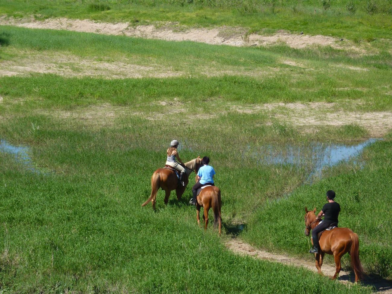 Loire on horseback