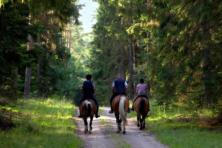 The Loire on horseback